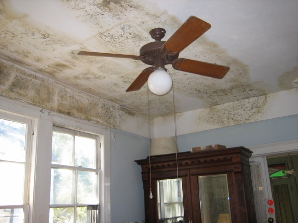 Ceiling Repair And Water Damage Here S What You Should Do